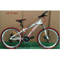Fashion Cool Fat Bicycle (LY-C-619) From China